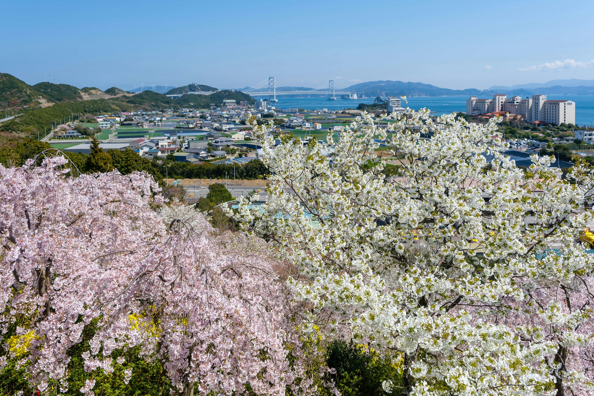 Setouchi Area Pass 